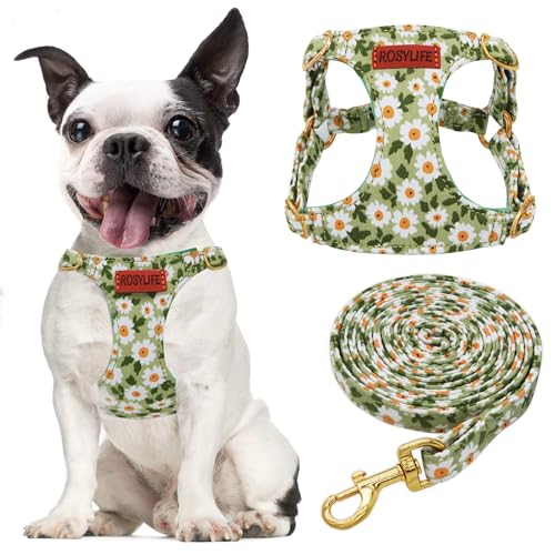 No Pull Dog Harness Adjustable Small Dog Harness and Leash Set, Lightweight and Soft Dog Harness No Choke Escape Proof Pet Harness Vest (Green Daisy, Small) - color: Green Daisy, size: Small