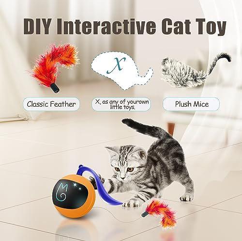 Migipaws Interactive Cat Ball Toy Set, Fun Tracker, Automatic Rolling Chase Ball with Fluffy Tail, A Small Mice, Rechargeable (Orange) - color: Orange