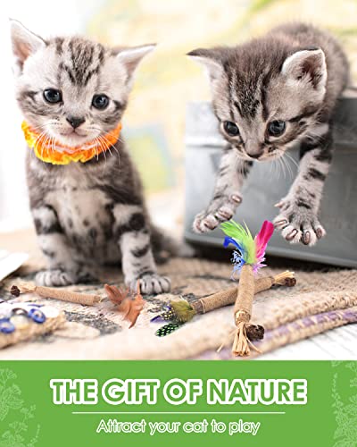 TINDTOP Silvervine Chew Sticks for Cats, Natural Catnip Chew Toys for Kittens Teeth Cleaning, Matatabi Dental Care, Increase Appetite, Calm Cat Anxiety and Stress, Cat Dental Toy (3 Pack) - color: 3 Pack