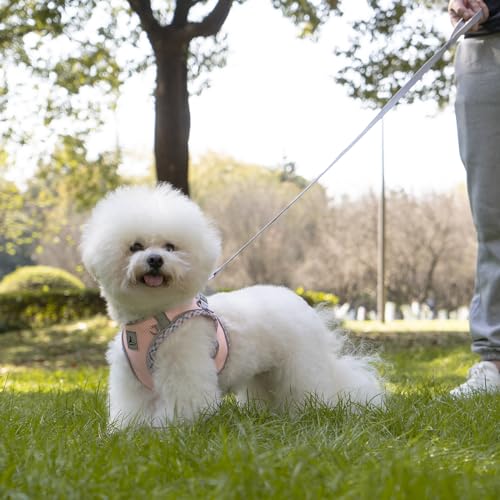 Dog Harness & Leash Set - No Pull Soft Breathable Small Dog Harness, Adjustable Reflective Step-in Vest for Puppy, Kitten, Cats - color: pink, size: s