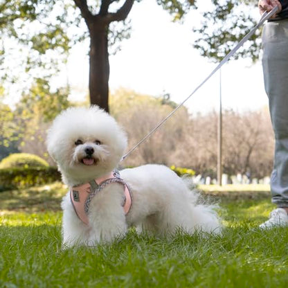 Dog Harness & Leash Set - No Pull Soft Breathable Small Dog Harness, Adjustable Reflective Step-in Vest for Puppy, Kitten, Cats - color: pink, size: s