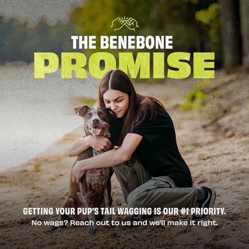 Benebone Pawbler - Natural Rubber Interactive Enrichment Treat and Kibble Dispensing Dog Toy – Great for Boredom - Medium/Large - size: 1 Pack, style: Pawbler