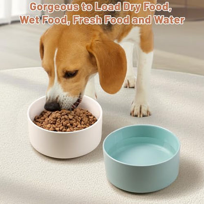 Dog Bowls, Non Slip Heavy Ceramic Dog Food and Water Bowl with Silicone Base, Pet Feeding Bowl for Puppies, Small and Medium Dogs (Glossy Light Green, 6 Inches) - color: Glossy Light Green, size: 6 Inches