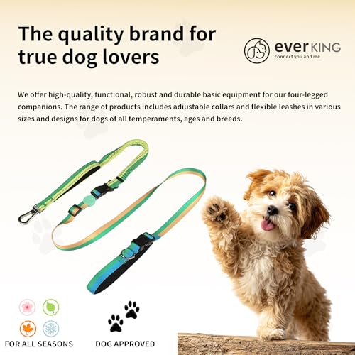‌EVERKING 6ft Hands-Free Dog Leash - 6-in-1 Adjustable with 360° Rotating Buckle, Night Reflective & Shock Absorbing for Large/Small Dogs (Up to 120lbs) (Green) - color: Green