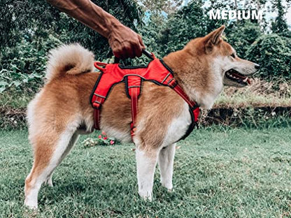 Tuff Pupper Escape Proof No Escape Dog Harness | 5 Point Adjustable Fit Harness for Dogs | Padded Dog Harnesses | Handle Dog Lift Harnesses - color: March Red, size: Medium