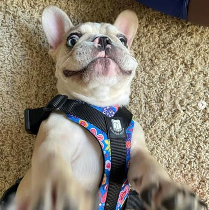 No-Pull Harness for English & French Bulldogs - Adjustable Wide-Chest Fit, Reflective Vest with Control Handle (Frisky Flowers, Small) - color: Frisky Flowers, size: Small