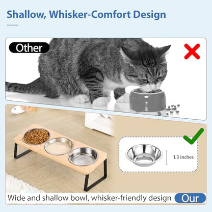 Hannadepot Elevated Cat Bowls, 15° Tilted Raised Cat Food and Water Bowl, Anti-Vomit & Whisker-Friendly Design, 3 Stainless Steel Bowls for Cats and Small Dogs