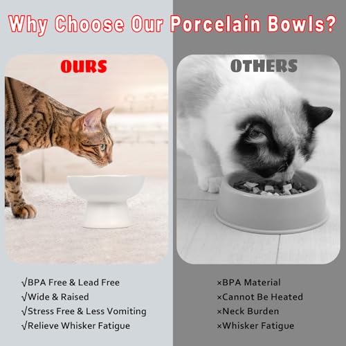 6.1" Wide 1.57" Deep Elevated Cat Water Bowls, Ceramic Raised Food Plate,Cat Feeder,Anti Vomiting Whisker Fatigue,White - color: White-Deep