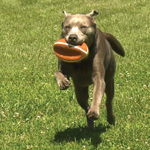 Nylabone Power Play Felt Football Gripz Fetch Toy, Squeaky Ball Chew Toy for Dogs, Medium (1 Count) (Pack of 4) - size: Medium (Pack of 4)