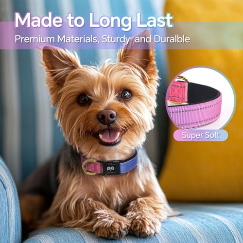 QQPETS Reflective Dog Collar with Soft Neoprene Padded Breathable Nylon Pet Collar Adjustable for Small Medium Large Dogs - color: Blue Pink, size: S