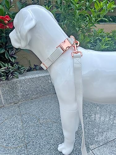 Dog Collar and Leash Set.Soft and Easy to Clean Vegan Leather with Rose Gold Metal Buckle for Small Medium Large Dogs (Off-White, S(12.2"-16.9")) - color: Off-White, size: S