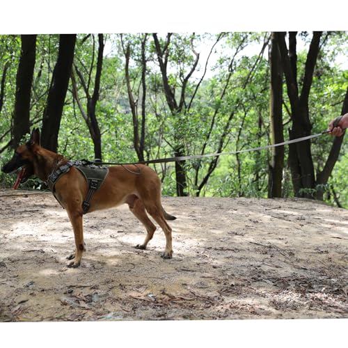 ICEFANG Relfective Dog Leash for Medium Large Dogs,K9 Training Walking Lead with Double Handle,Heavy Duty Auto-Lock Metal Clasp (6ft, Green) - color: Green, size: 6 ft (No bungee)