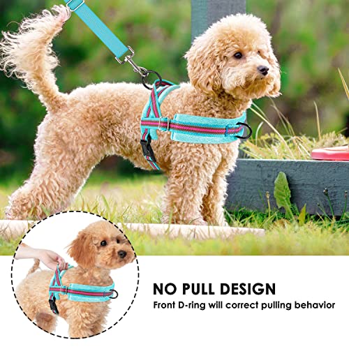 Lukovee No Pull Dog Harness and Leash Set, Soft Padded Small Dog Harness, Neck & Chest Adjustable Reflective Vest Puppy Harness with 4ft Lightweight Anti-Twist Dog Leash for Small Dogs (XXS, 01-LBL) - color: Light Blue - with Stripe, size: XXS ( Chest 11.