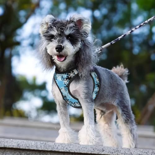 Christmas Snowflakes Blue Pet Harness Escape Proof Dog Harness Adjustable Mesh Padded Reflective Dog Vest Harness and Leash Set Small - color: Style 2, size: Small