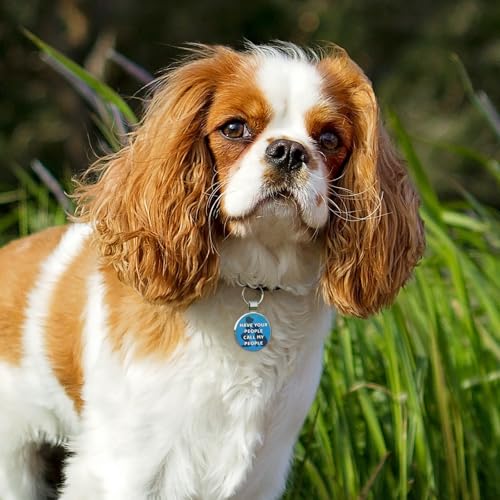QR Code Pet ID | Personalized Dog & Cat Collar Tag | Online Profile with Instant Scanned Location Alert Email - style: Have your people-Blue
