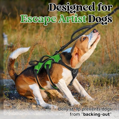 rabbitgoo Escape Proof Dog Harness, Soft Padded Full Body Pet Harness, Reflective Adjustable No Pull Vest with Lift Handle and Lesh Clip for Large Dogs Walking Hiking Training, S, Green - color: Green, size: Small (Pack of 1)