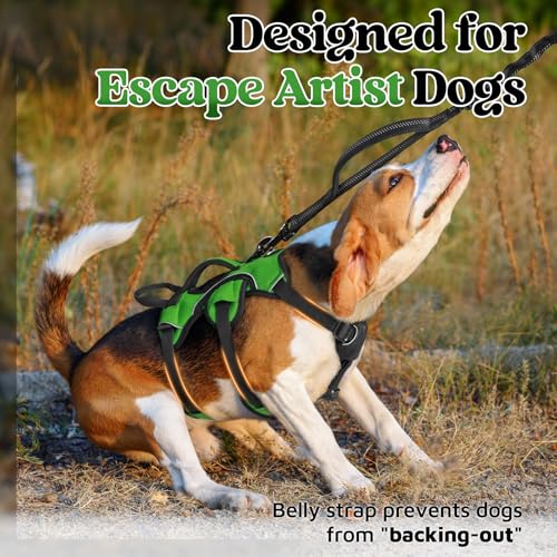 rabbitgoo Escape Proof Dog Harness, Soft Padded Full Body Pet Harness, Reflective Adjustable No Pull Vest with Lift Handle and Lesh Clip for Large Dogs Walking Hiking Training, S, Green - color: Green, size: Small (Pack of 1)