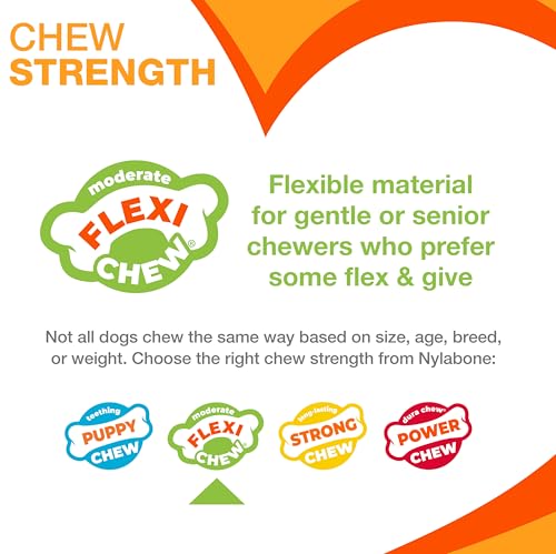 Nylabone Moderate Chew Flexi Chew Bone Peanut Butter & Bacon XX-Small/Tiny (2 Count)
