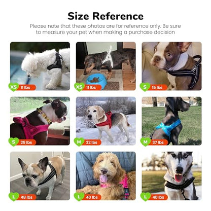 Didog No Pull Dog Harness with Soft Mesh Padded,Reflective & Quick Fit Light Weight Dog Strap Vest Harness,Easy for Walking Training (M:Chest 21-26", Mesh-Blue) - color: Blue, size: M: Chest 21-26", Fit 28-50 lbs