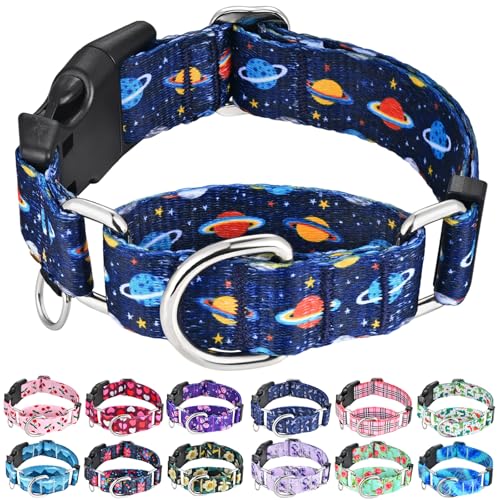 Martingale Dog Collars with Buckle No Slip Training Boy Dog Collar for Small Dogs (Blue Space, Small) - color: Blue Space, size: Small