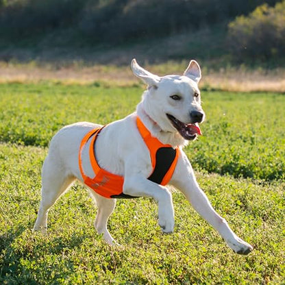 Browning Pet Hi-Vis Safety Vest for Dogs, Safety Orange, Large, Chest Protection - size: Large, style: Chest Protection Vest