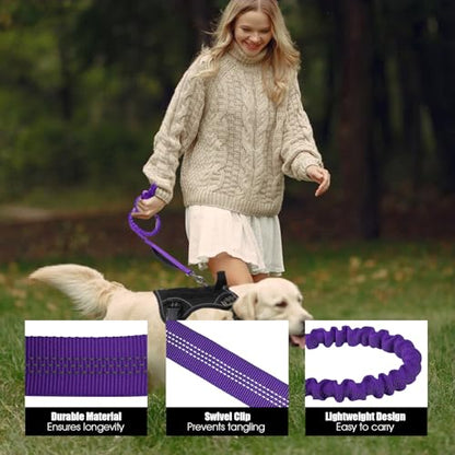 BUMBIN 6Ft Dog Leash - Large Dogs, Bungee Leash with 2 Handles, Heavy Duty, No Pull Shock Absorbing, Purple - color: Purple
