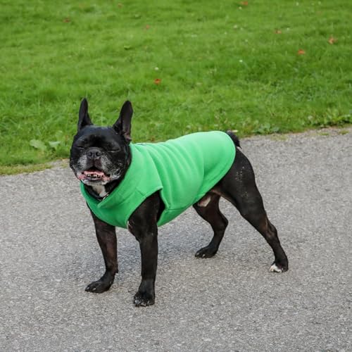 JACKO & CO - Fleece Vest Dog Sweater with Leash Ring - Soft, Warm & Lightweight Pullover Coat for Small & Medium Dogs, Puppies & Cats - Cozy Fall/Winter/Spring Pet Jacket (Green, Small 4-6lbs) - color: Green, size: S (4-6lbs)
