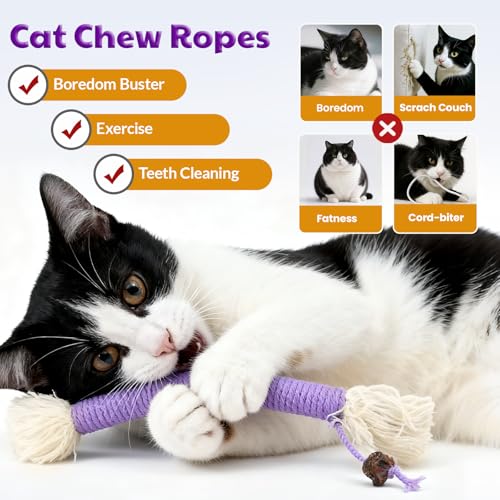 Kitten Toys, Cat Chew Toy for Teeth Cleaning, Catnip Rope Toys for Indoor Kittens, Interactive Cat Nip Teething Toys for Cats, Kitty Kicker Toy, 6 Pack (Plus 3 Pouches of Catnip) - size: Small 6 Pack