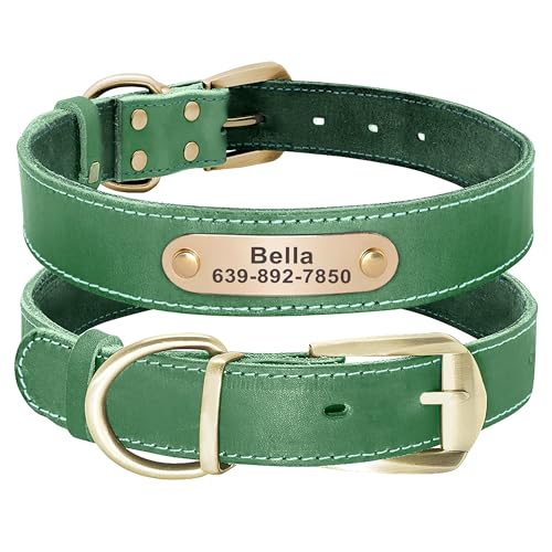 Didog Genuine Leather Dog Collars with Engraved Nameplate, Personalized Soft Leather Dog Collar with Custom ID Tag, Brown/Green/Red for Small Dogs (M,Green) - color: Green, size: M: Fit Neck 11-15"(13-22 lbs)