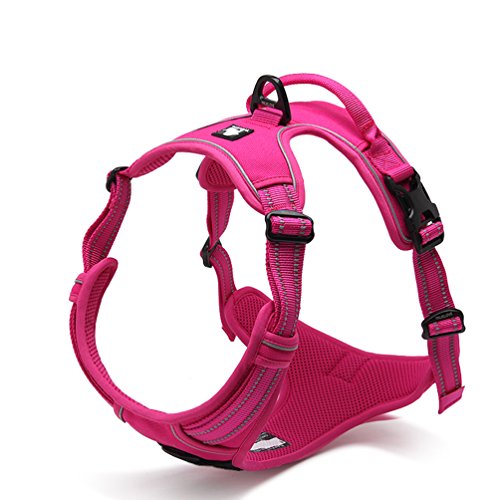 SGODA Dog Harness Nylon with Reflective Dog Vest, Medium, Pink - color: Fuchsia, size: Medium Chest 22-27"
