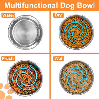 2-in-1 Metal Dog Bowl with Slow Feeder Insert, Stainless Steel Dog Bowls Food Grade 304, Water Food Bowl with Anti-Slip Silicone Base for Small, Medium, Large Dogs - color: Light blue, size: 5 Cups