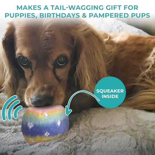 Haute Diggity Dog Chewy Vuiton Trunk Puzzle with 3 Plush Squeaky Dog Toys, Soft Durable Designer-Inspired Stuffed Puppy Chew Toys for Small & Medium Dogs, Machine-Washable (Pink Ombre) One Size - color: Pink Ombre Trunk, size: One Size