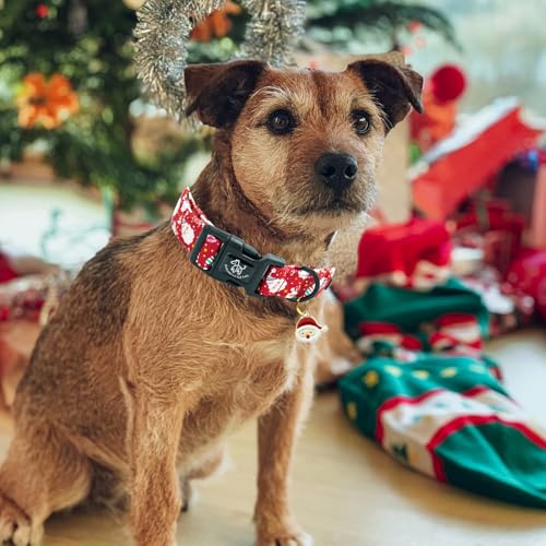 Elegant littlle Tail Christmas Dog Collar, Red Pet Collars Soft Cotton Winter Dog Collar with Quick Release Buckle Pet Puppy Collars for Small Medium Large Dogs - color: Christmas-Santa Claus, size: X-Small (Pack of 1)