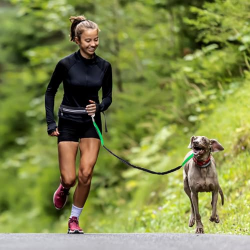 Waist Leash for Medium Large Dog Walking, Bungee Hands Free Leash with Zipper Pouch, Around The Waist No Pull Running Dog Belt, Padded Handle Jogging No Hands Heavy Duty - color: Green