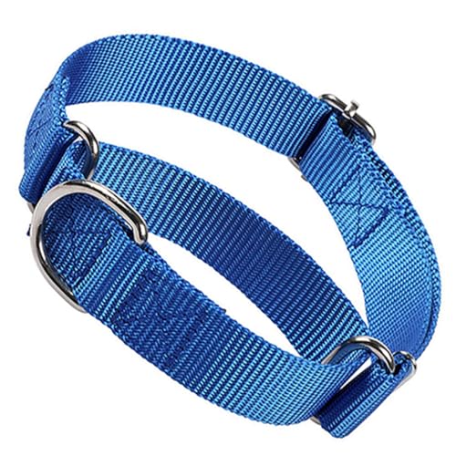 Martingale Collar for Dogs,Nylon Sturdy Choker Collar for Dogs,Training Escape Proof Heavy Duty Dog No Pull Dog Collar for Small Medium Large Boy Male Dogs, Blue S - color: Blue, size: S(Neck 10-14")