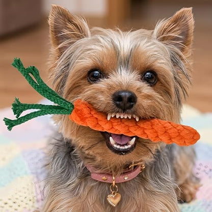 Handmade Braided Carrot Shape Chew Toy, Orange with Green Leaves, 8.66 Inch Length, Durable Pet Dental Toy, (1 Piece Set)