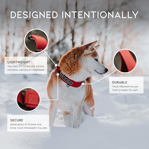 MADE TO ROAM Premium Everyday Dog Collar - Martingale Style No Pull Vegan Leather Collar, Heavy Duty and Lightweight for Small, Medium, Large Dogs (Arizona Heartbeat, Size 2) - color: Arizona Heartbeat, size: Size 2
