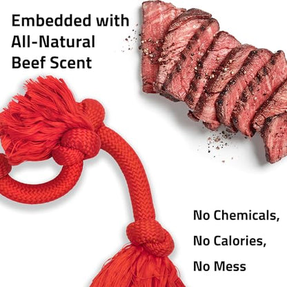 Playology Dog Toys | Dri-Tech Rope Tug of War Dog Toy for Tough Chewers | Beef Scented Mega Size Tug Rope Toys for Extra Large Dogs - size: Mega, style: Beef