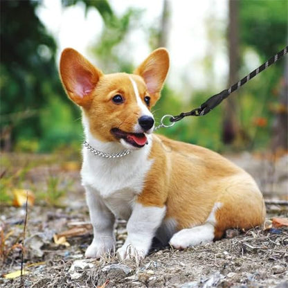 Silver Dog Choke Collars,Metal Slip Link Martingale Choker Dog Collar Heavy Duty Training Dog Collars Puppy Collars for XS Small Medium Large Big Breed Dogs,XS - color: Flat Sliver Chain, size: XS(Neck Max 12inch)D2.0mm