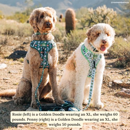 Lucy & Co. x Parks Project Feel the Earth Breath No-Pull Dog Harness, Adjustable Front Clip Harness with Comfort Padding, Small - color: Feel the Earth Breath, size: Small