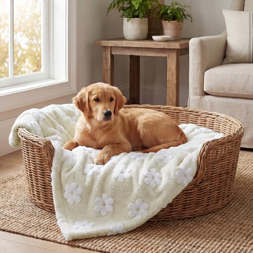 Horaldaily Pets Flannel Blanket, Beige Flowers 3D Textured Soft Fuzzy Fluffy Plush Cozy Fleece Premium Blankets for Dog Cat Puppy Kitten Couch Protection, 20x30 - color: Beige, size: 20''x30'',Medium