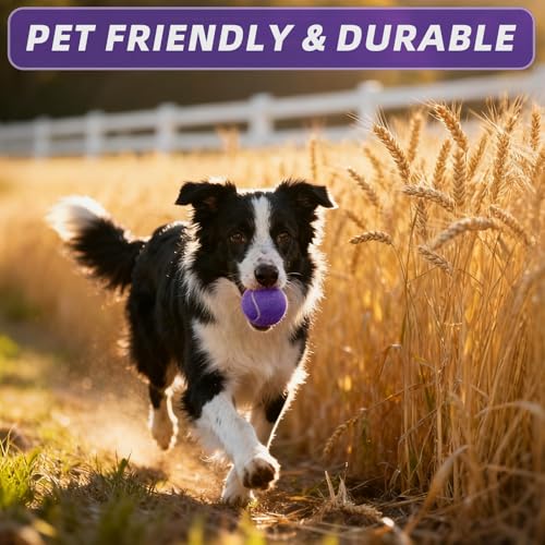 PoyPet 16-Pack Tennis Balls Bulk for Practice,Training and Beginners | Ideal for Dog Fetch,Chew and Play - color: Purple