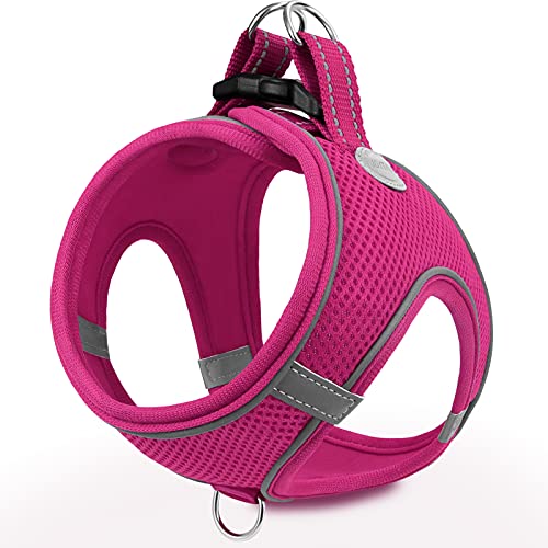 Joytale Small Dog Harness, Breathable Mesh Step-in Vest, Reflective Soft Padded Harnesses for Cats and Puppies Dogs, Hot Pink, XXXS - color: HotPink, size: XXXS--Chest: 10.5-12''