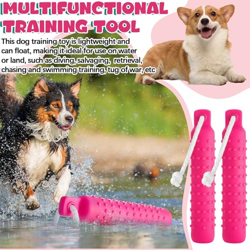 Blueweenly 4 Pcs Dog Bumper Toy for Water Retrieving Plastic Puppy Training Dummy Dog Float Toy Lightweight for Float on The Water Pool Outdoor Training Hunting Fetching (Pink) - color: Pink