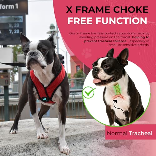 Gooby Comfort X Harness, Red, Small Chest (11.75-15.5") - color: Red, size: Small Chest (11.75-15.5")