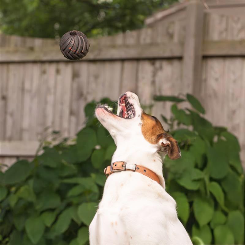 Chew King Supreme Durable Rubber Dog Ball for Aggressive Chewers, Treat-Dispensing Heavy-Duty Chew Toy with Safety Air Vent, Interactive Dog Toy for Training & Enrichment, Medium 3" Fetch Ball - color: B) Medium 3" Ball