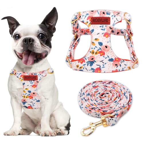 No Pull Dog Harness Adjustable Small Dog Harness and Leash Set, Lightweight and Soft Dog Harness No Choke Escape Proof Pet Harness Vest (Orange Rose, Small) - color: Orange Rose, size: Small