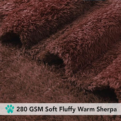 PETAMI Fluffy Fleece CAT and Dog Throw Blanket, Brown, Large - color: Brown, size: Large (40x60)