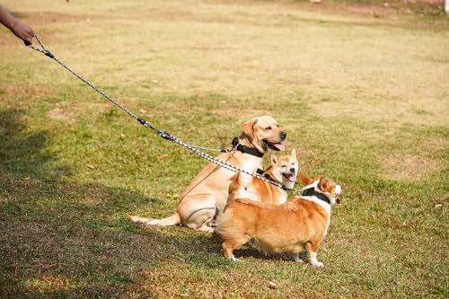 3 in 1 Durable Nylon Dog Leash with Padded Handle, 360° Swivel No Tangle Climbing Rope Removable Pet Traction Rope, Lead for Medium Large Dogs Black - color: Black
