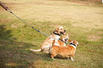 3 in 1 Durable Nylon Dog Leash with Padded Handle, 360° Swivel No Tangle Climbing Rope Removable Pet Traction Rope, Lead for Medium Large Dogs Black - color: Black
